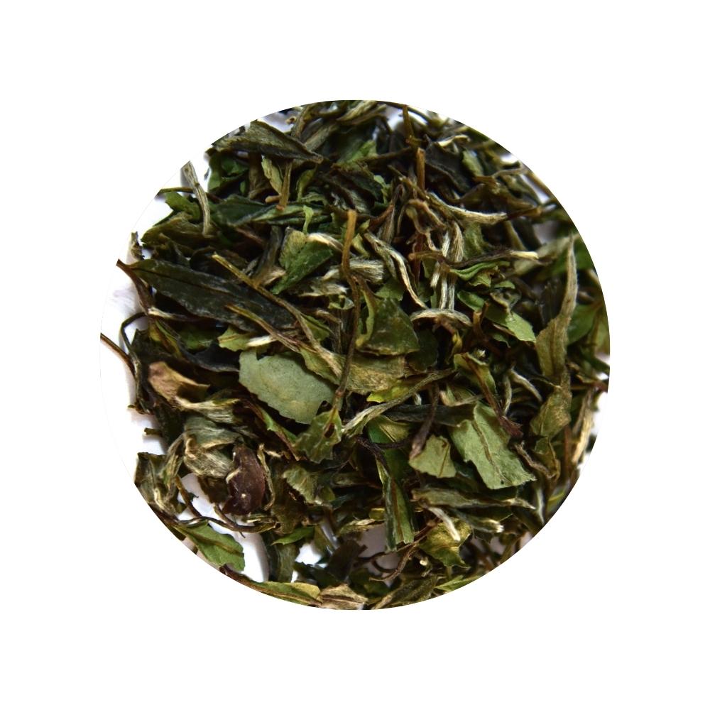 Té blanco orgánico